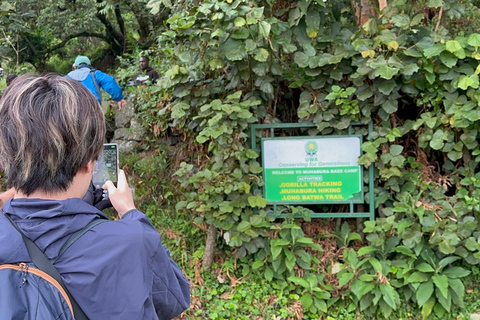 7-dniowa wycieczka z trekkingiem i dziką przyrodą do Rwandy i Ugandy