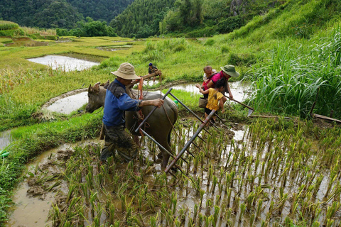 3-dniowy rezerwat przyrody Pu Luong z Hanoi, trekking, życie lokalne