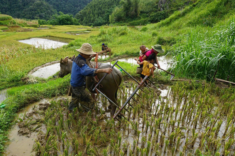 3-dniowy rezerwat przyrody Pu Luong z Hanoi, trekking, życie lokalne