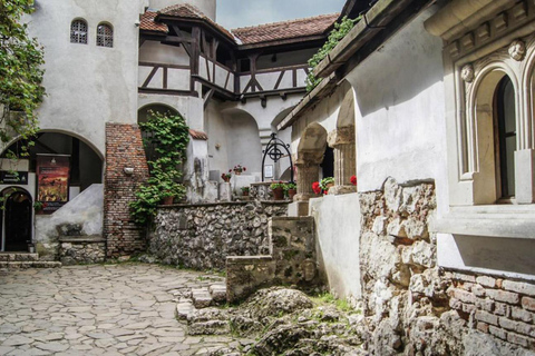 Brașov: Peleș, Bran & Cantacuzino Private Tour + Tickets Without Entry Tickets