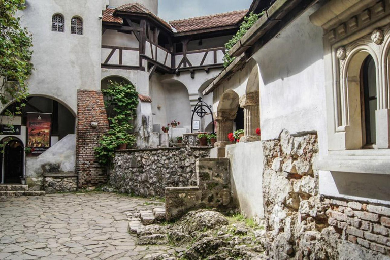Brașov: Peleș, Bran & Cantacuzino Private Tour + Tickets Without Entry Tickets