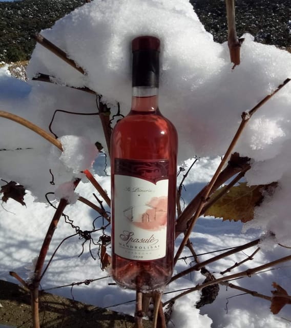 Cagliari, Sardinia... en rose! The best local rosè wines - Housity