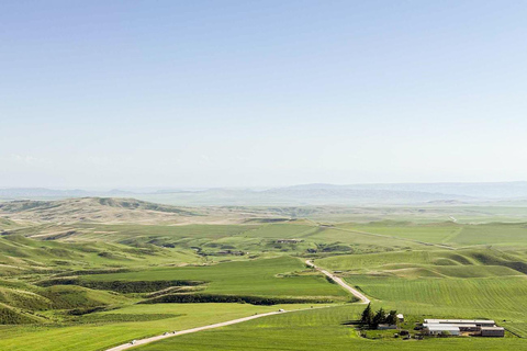 Tbilisi: Birdwatching Tour with Guide