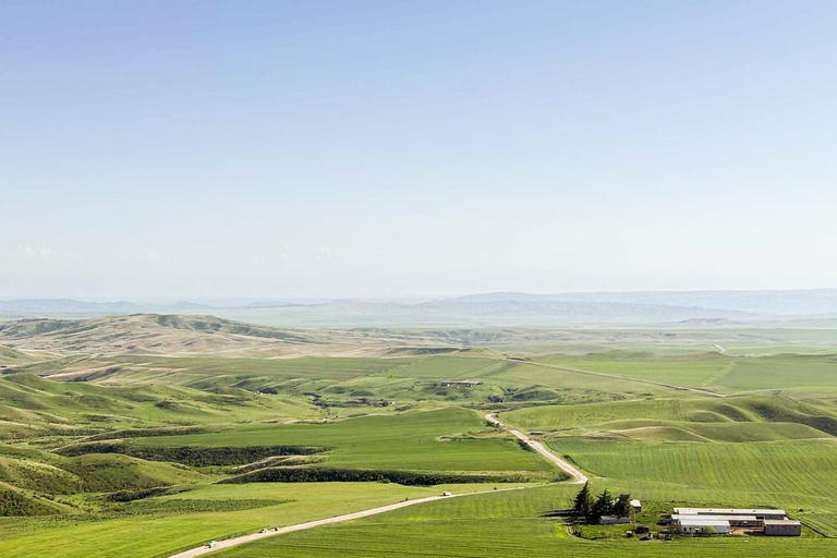 Tbilisi: Birdwatching Tour with Guide