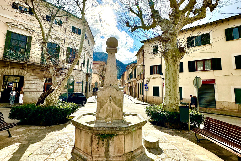 PRIVÉ Port de Sóller, Sóller en Sa Foradada Sunset Tour