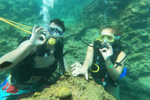 Side Underwater Museum Diving Adventure Side: Guided Scuba Diving Experience with Two Boat Dives