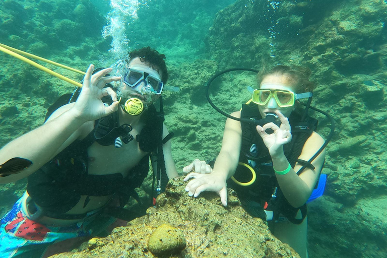 Side Underwater Museum Diving Adventure Side: Guided Scuba Diving Experience with Two Boat Dives