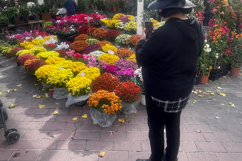 Nice: Old Town &amp; Castle Hill Informative Guided Walking TourTour in English