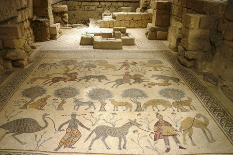 From Amman Private Madaba, Mt Nebo, Pink Lake &Dead Sea Tour All Inclusive Tour