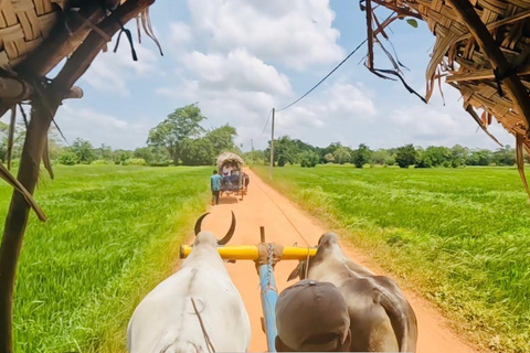 Sri Lanka: 2-dagars rundtur till Sigiriya, Dambulla och Kandy