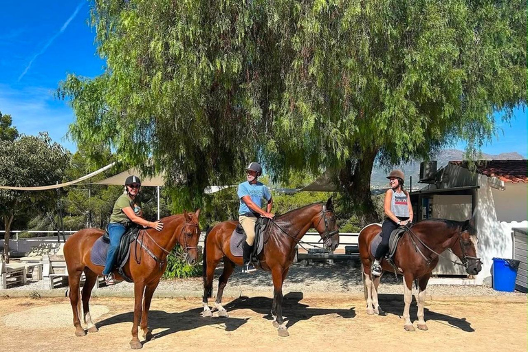 Alicante: Sierra Helada Natural Park Horseback Ride