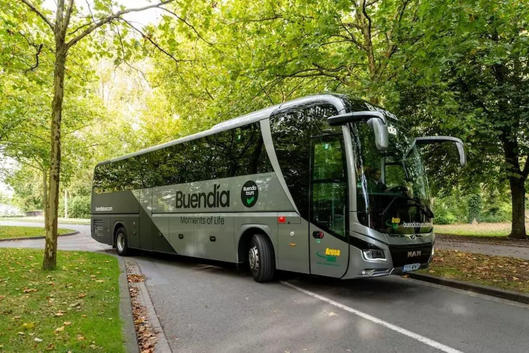 Excursion to Salamanca and Zamora with ham tasting from Valladolid Spanish Tour