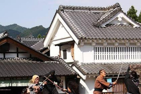 From Tokyo To Nikko Private Day Tour With English Guide