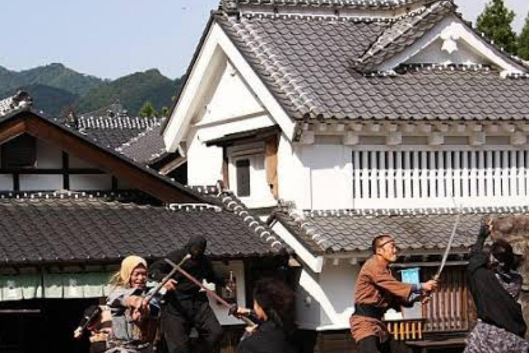 From Tokyo To Nikko Private Day Tour With English Guide