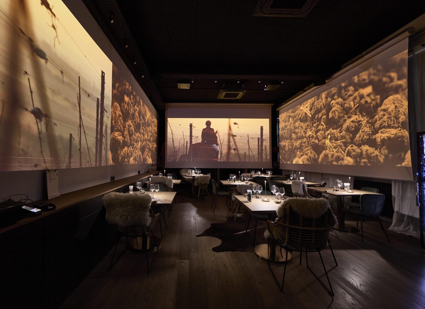 Medrivende vintur i Alsace, vinsmagning og alsacisk frokost