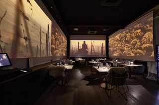 Alsatian Immersive Wine Tour, Wine Tasting & Alsatian lunch