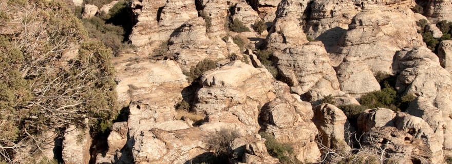 Au départ d'Aqaba : Excursion privée d'une journée dans la réserve naturelle de Dana avec déjeuner