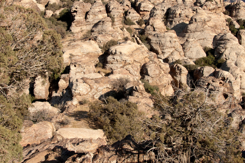 Von Aqaba aus: Dana Nature Reserve Private Tagestour mit Mittagessen