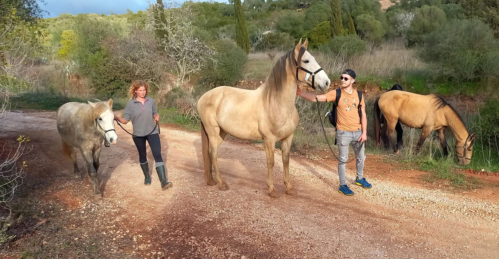 Lagos, A walk with a rescued horse at the sanctuary