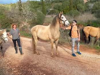 Lagos: A walk with a rescued horse at the sanctuary
