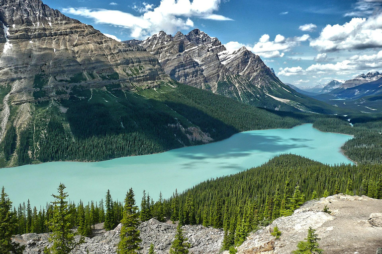 Jasper, Columbia Icefield, Peyto, Athabasca Sunwapta Falls Calgary meet up