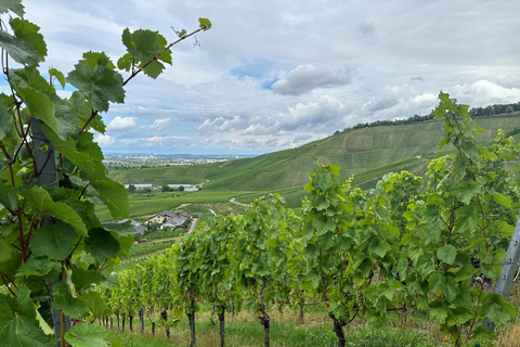 Stuttgart: From the Cellar to the Vine – Experience Wine Up Close Stuttgart: From the cellar to the vine – experience wine up close