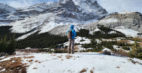 Banff Canmore: Wildlife Focused Guided Snowshoeing Adventure