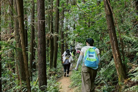 Hangzhou: Qiandao Lake Forest & Kayak Private Day Trip