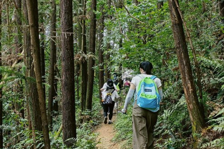 Hangzhou: Qiandao Lake Forest & Kayak Private Day Trip
