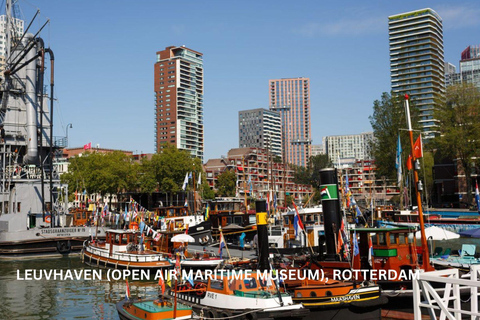 Rotterdam en Kinderdijk Dagelijkse Wandeltour en Rondvaart