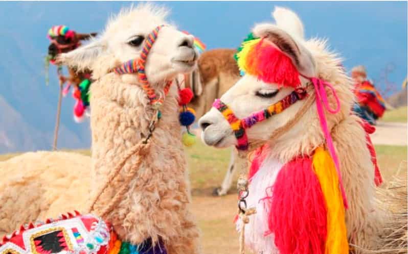 From Cusco: Sacred Valley & Maras Salt Mines Tour with Lunch