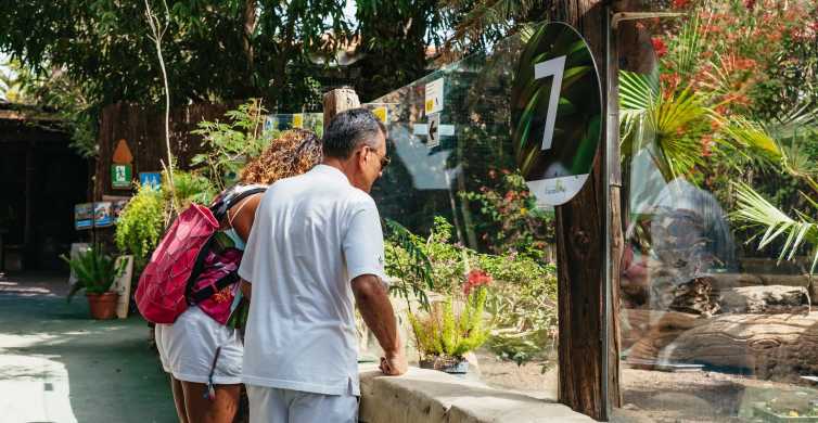Casa Cocodrilo, Playa del Ingles – Updated 2023 Prices