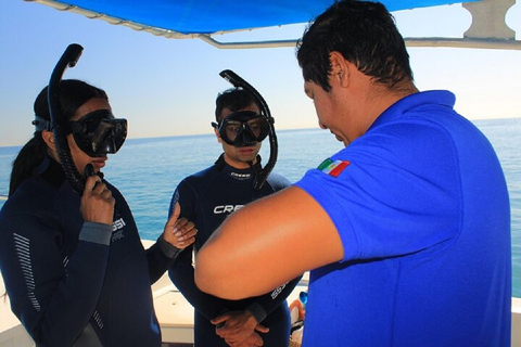 圣何塞德尔卡波私人浮潜圣何塞卡波：私人浮潜，开放式酒吧和美食