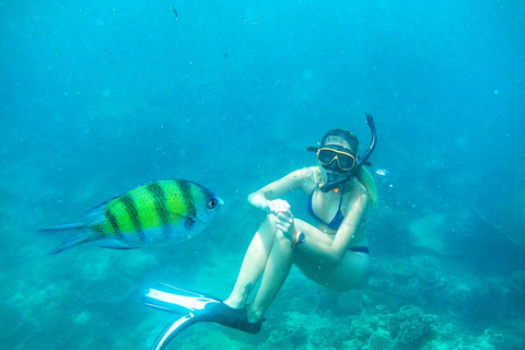 Koh Pha Ngan: Koh Tao & Nang Yuan Tour with Snorkel, Lunch Option 1: Hotel Pick up in Koh Pha Ngan