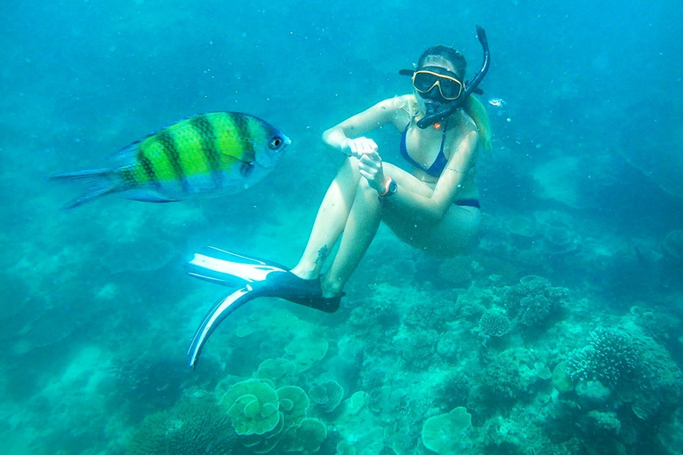 Koh Pha Ngan: Koh Tao & Nang Yuan Tour with Snorkel, Lunch Option 1: Hotel Pick up in Koh Pha Ngan