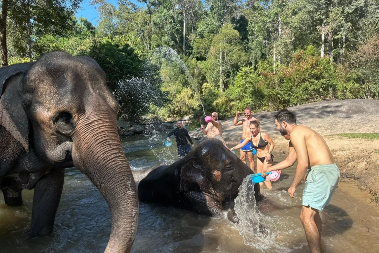 Chiang Mai : cascade, sanctuaire des éléphants et rafting en bambouVisite de groupe avec ramassage à l'hôtel