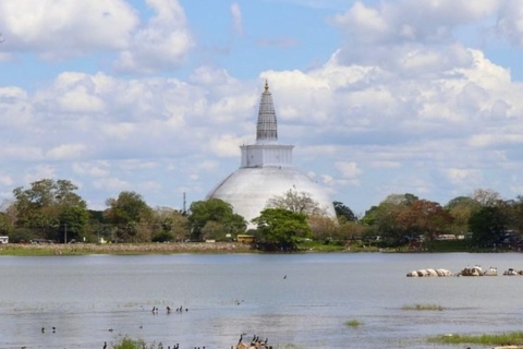 "Anuradhapura dévoilée : Visite privée exclusive d'une journée"