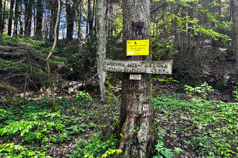 Glozhene-klostret och Stara Planina,Liten grupp från SofiaFrån Sofia: Glozhen-klostret och promenad i Stara Planina