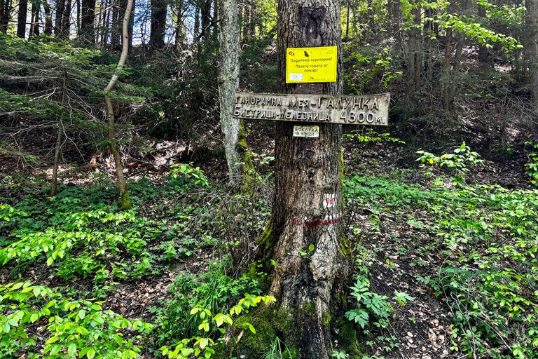 Glozhene-klostret och Stara Planina,Liten grupp från SofiaFrån Sofia: Glozhen-klostret och promenad i Stara Planina