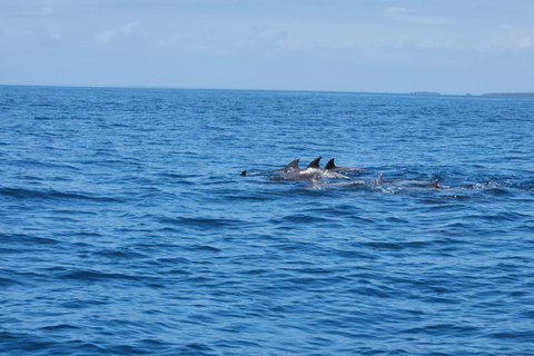 Diani: Wasini Insel, Schnorcheln &amp; Shimoni Sklavenhöhlen Tour