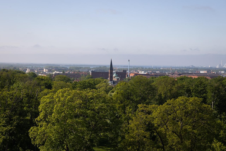 Copenaghen: biglietto d&#039;ingresso alla Torre dello Zoo di Copenaghen