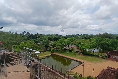 From Colombo/Negombo to Anuradhapura Day Tour with Mihintale
