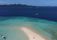 El Nido Tour D (Joiders Tour) - Housity