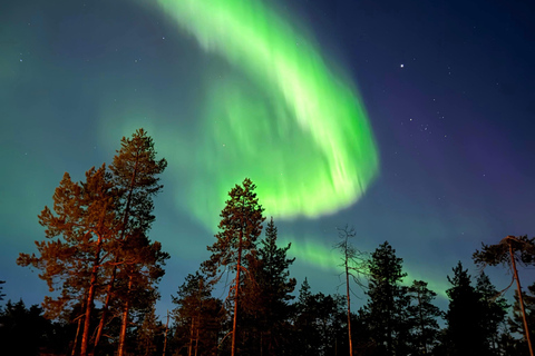 Rovaniemi: Northern Lights & Reindeer Experience