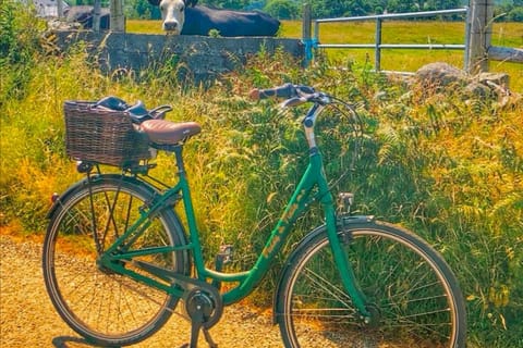 E-bike to Croagh Patrick: Pub and Food Experience - Image 2