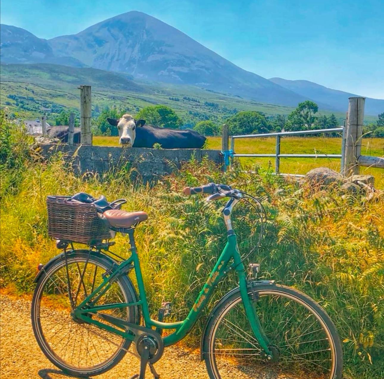 E-Bike-Tour zum Berg Croagh Patrick, Pub- und Kulinarik-Erlebnis