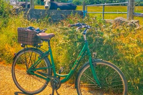 E-bike to Croagh Patrick: Pub and Food Experience - Image 3