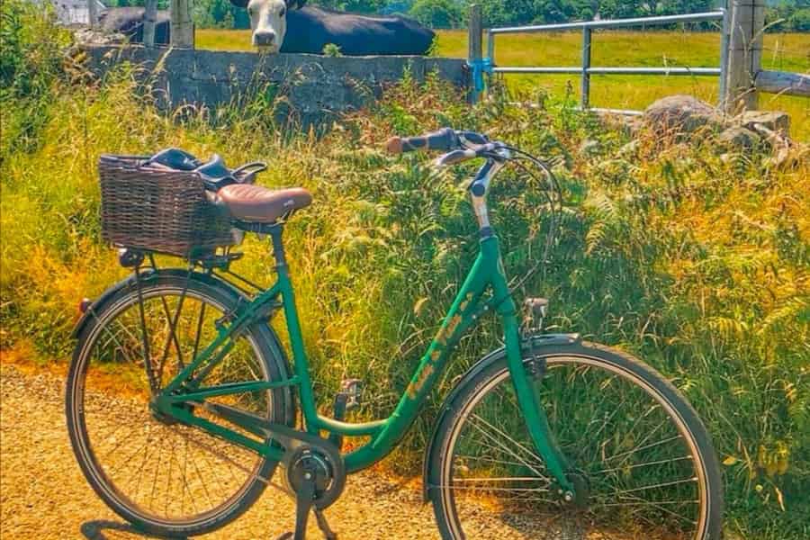 Ebike to Croagh Patrick mountain Pub & Food experience