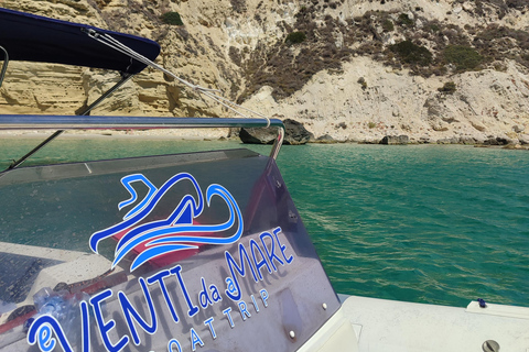 Cagliari: Devil’s Saddle Boat Tour with 4 Stops and Prosecco Cagliari: Sunset Boatour,Last Dive at Devil's Saddle eDrinks