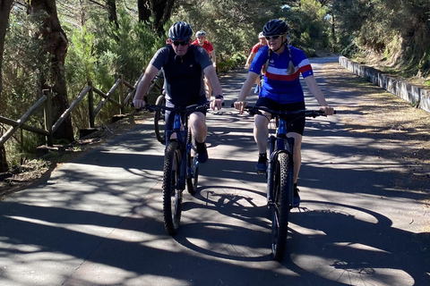 Half-Day Cross-Country Mountain Biking in Madeira Cross Country - Mountain Bike Tour. Half day +